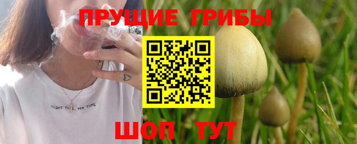 Тында  Галлюциногенные грибы Magic Shrooms  Галлюциногенные грибы MAGIC MUSHROOMS  Вход с VPN 